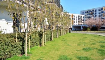 Espace vert et jardin : une obligation dans les programmes immobiliers neufs ?