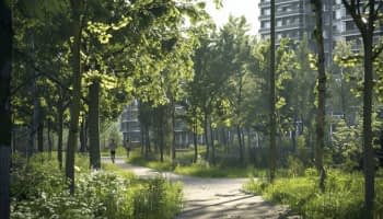 La micro-forêt urbaine : un souffle végétal pour les villes