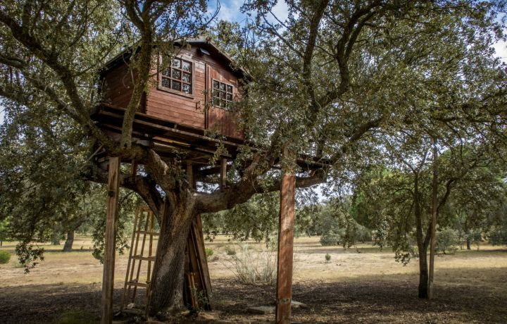 Éco-habitat : une maison dans les arbres au Kazakhstan