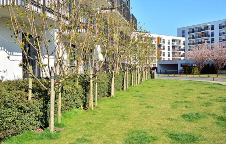 Espace vert et jardin : une obligation dans les programmes immobiliers neufs ?